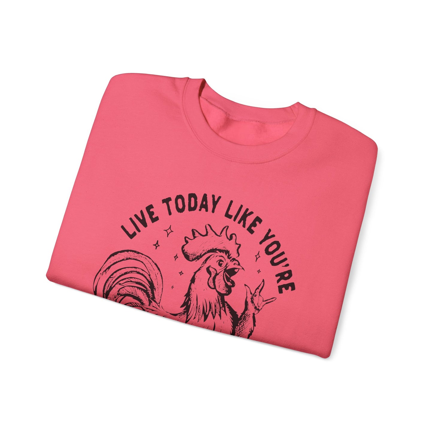 Live Today Crewneck Sweatshirt, Funny Gift, Cozy Sweatshirt, Unisex Fashion, Casual Wear, Gift for Him/Her