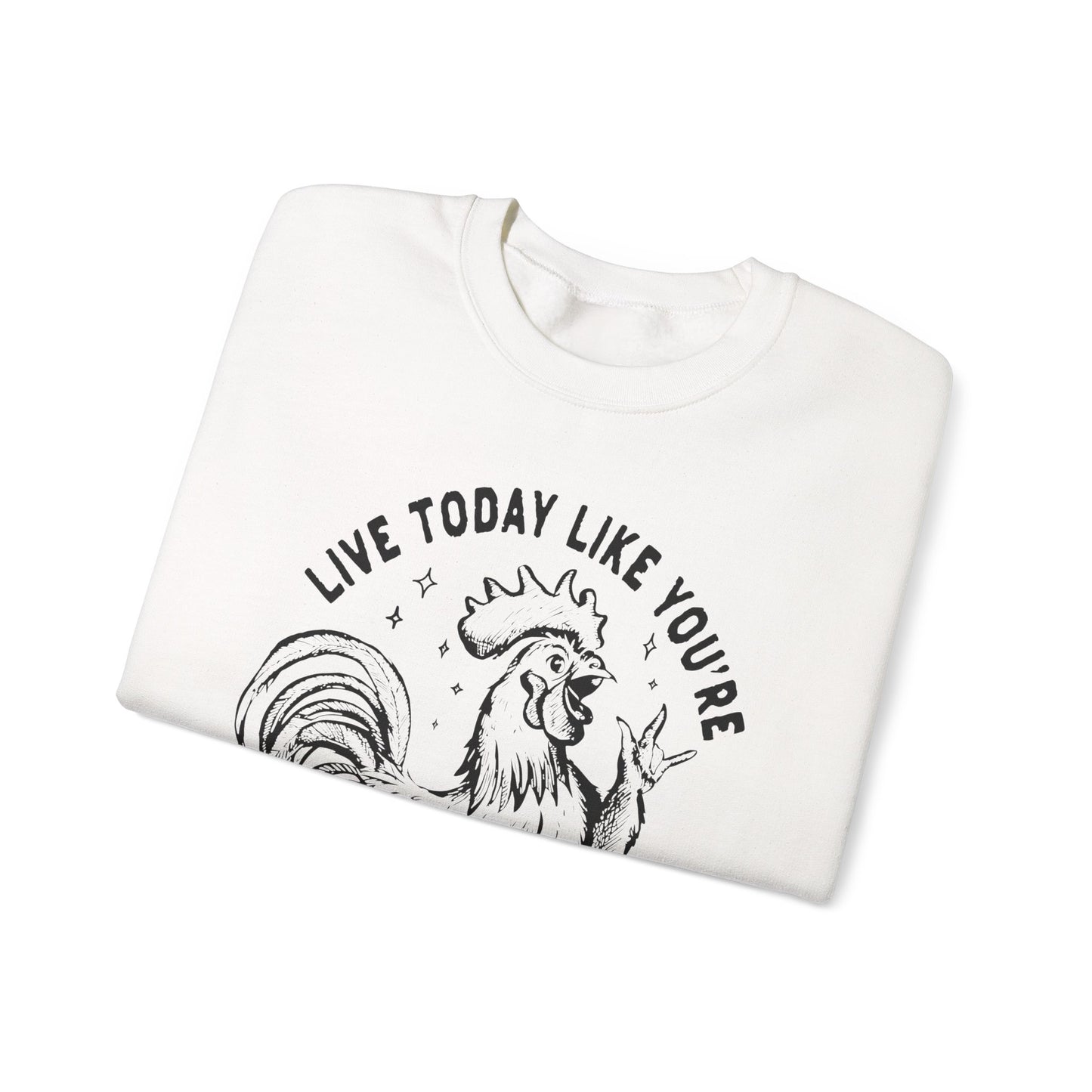 Live Today Crewneck Sweatshirt, Funny Gift, Cozy Sweatshirt, Unisex Fashion, Casual Wear, Gift for Him/Her