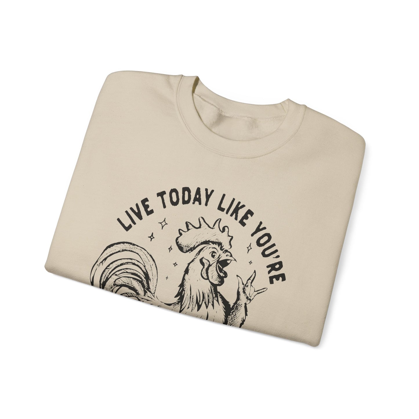 Live Today Crewneck Sweatshirt, Funny Gift, Cozy Sweatshirt, Unisex Fashion, Casual Wear, Gift for Him/Her