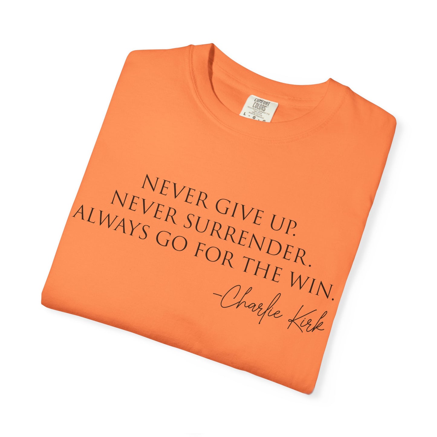 Inspirational Unisex T-Shirt, Motivational Tee, Casual Wear, Gift for Her/Him, Quotes T-Shirt, Everyday Comfort