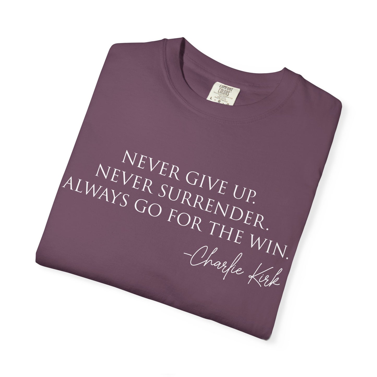 Motivational Unisex T-Shirt - Never Give Up, Inspirational Apparel for Fitness, Positivity, Daily Wear, Gift Idea, Casual Style
